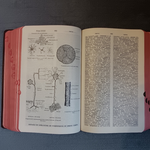 SOLD - Picture 5 of 16